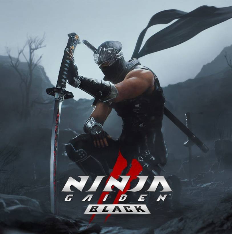 ninja gaiden cover